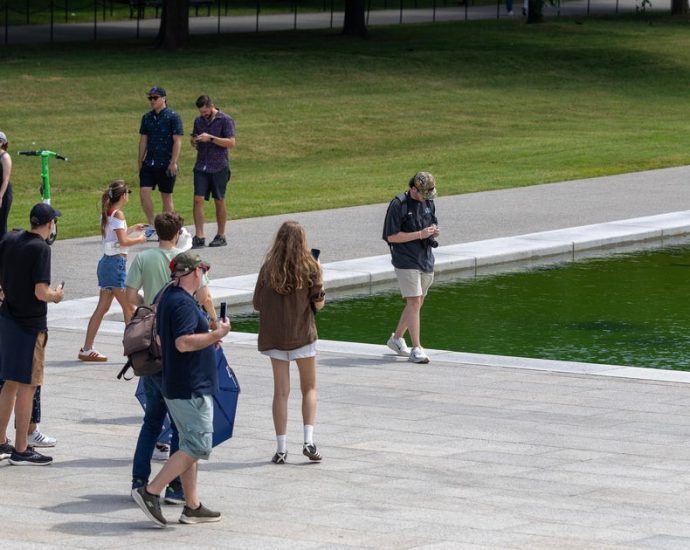 officials-roasted-after-posting-video-of-alleged-reflecting-pool-vandal-in-the-act
