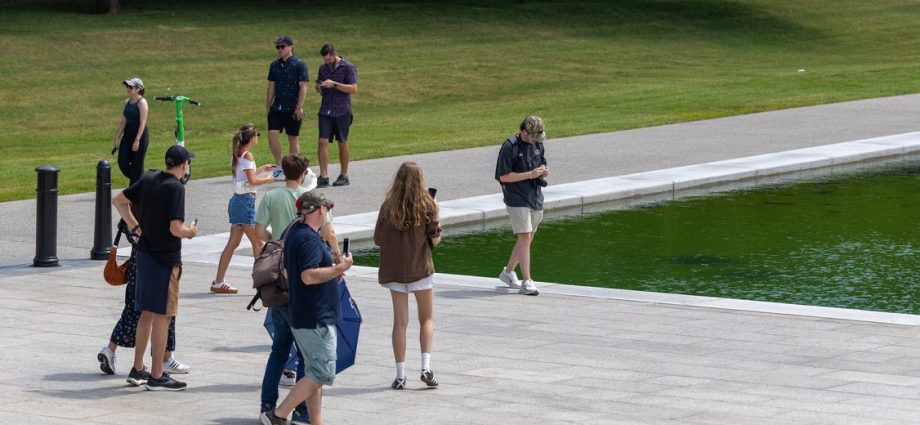 officials-roasted-after-posting-video-of-alleged-reflecting-pool-vandal-in-the-act