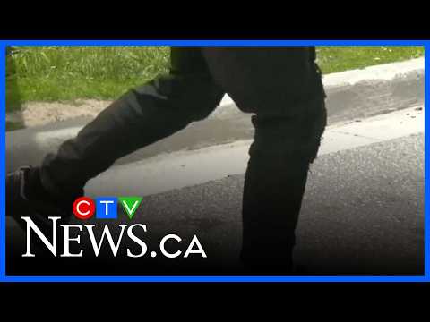 another-teen-involved-in-lampman-park-assault-granted-bail