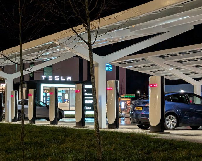 in-europe,-tesla-sales-are-rising-despite-views-on-elon-musk