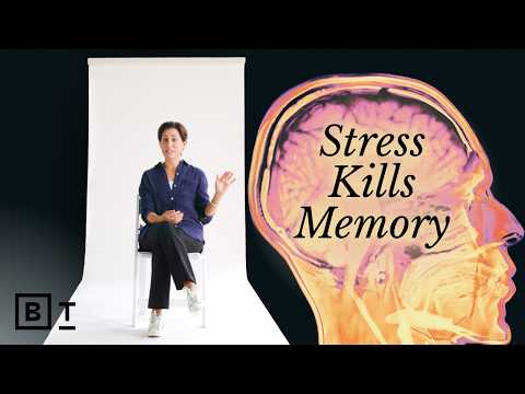 a-neuroscientist’s-guide-to-protecting-your-brain,-in-58-minutes-|-lisa-genova:-full-interview