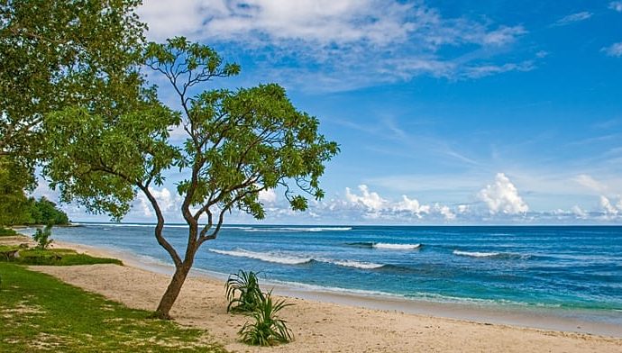 australia-and-vanuatu-sign-deal-barring-foreign-military-base-on-pacific-island