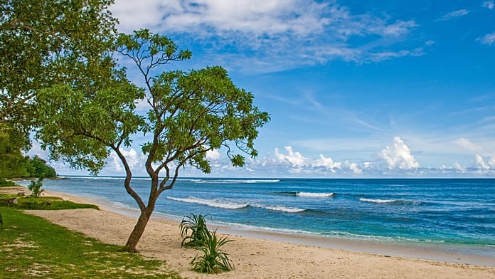 australia-and-vanuatu-sign-deal-barring-foreign-military-base-on-pacific-island