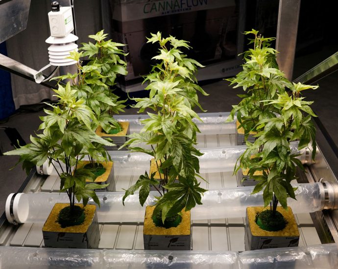 dea-hearing-on-proposed-federal-marijuana-rescheduling-to-begin-monday