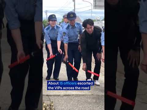 police-officers-in-japan-escort-duck-family-to-safety-|-dw-news