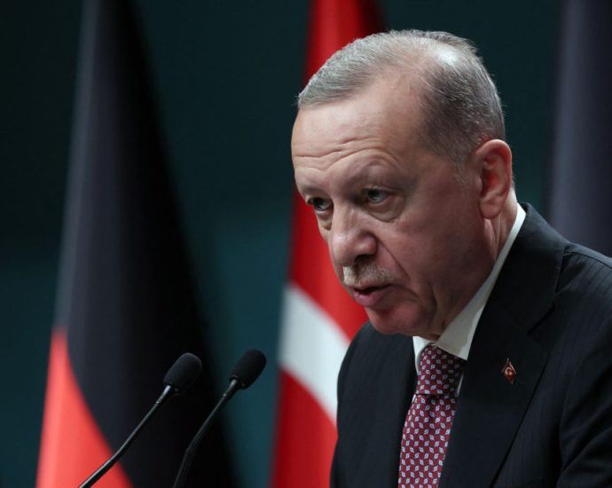 erdogan-tells-merz-turkey-is-working-to-restart-russia-ukraine-peace-talks-ahead-of-ankara-nato-summit