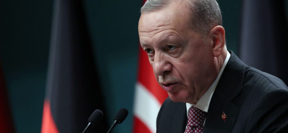 erdogan-tells-merz-turkey-is-working-to-restart-russia-ukraine-peace-talks-ahead-of-ankara-nato-summit