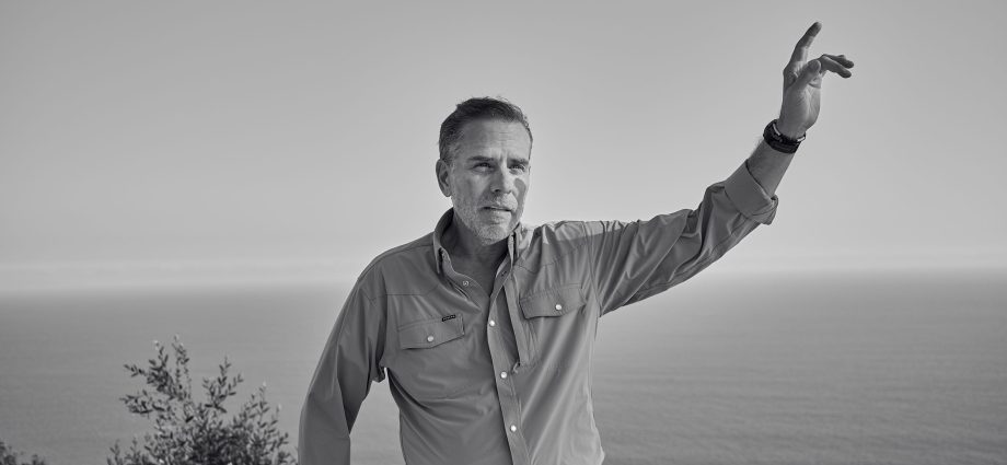 how-hunter-biden-won-the-internet