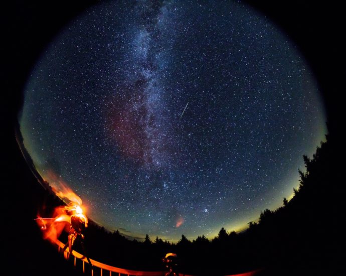 fireflies-and-fireballs:-summer-stargazing-with-meteor-watch-day,-asteroid-day