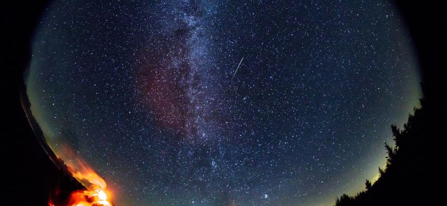 fireflies-and-fireballs:-summer-stargazing-with-meteor-watch-day,-asteroid-day