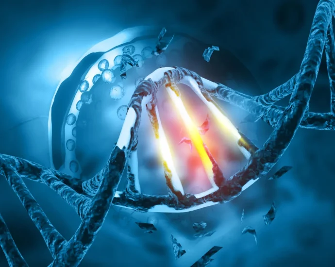 one-tiny-mutation-may-explain-how-bat-viruses-become-human-threats
