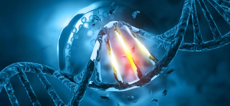 one-tiny-mutation-may-explain-how-bat-viruses-become-human-threats