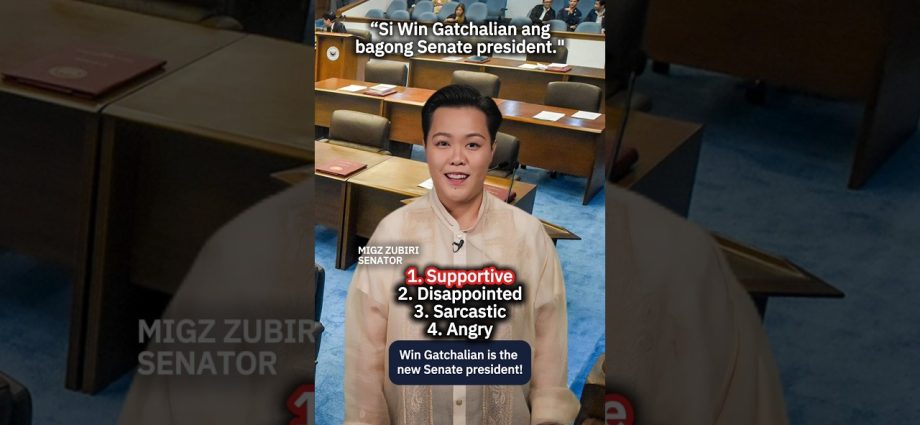 fact-check-wrap:-more-lies-about-the-senate
