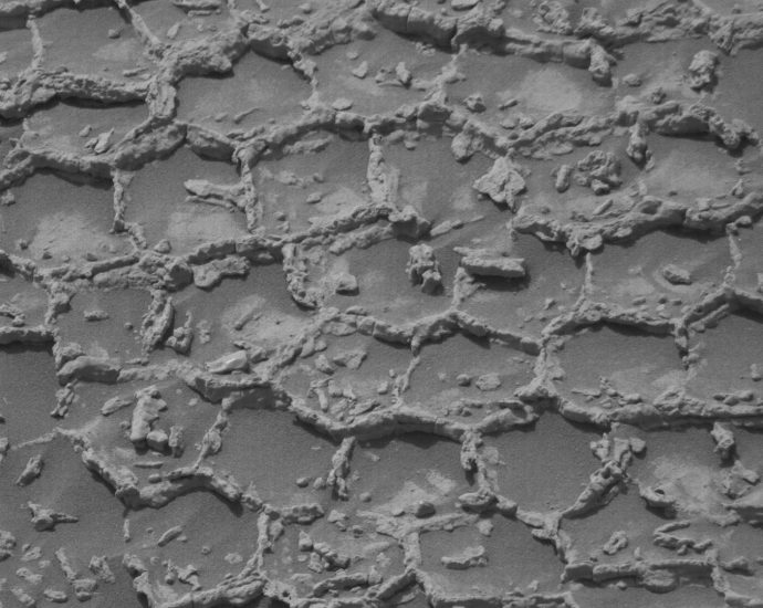curiosity-blog,-sols-4934-4940:-in-the-land-of-the-polygons