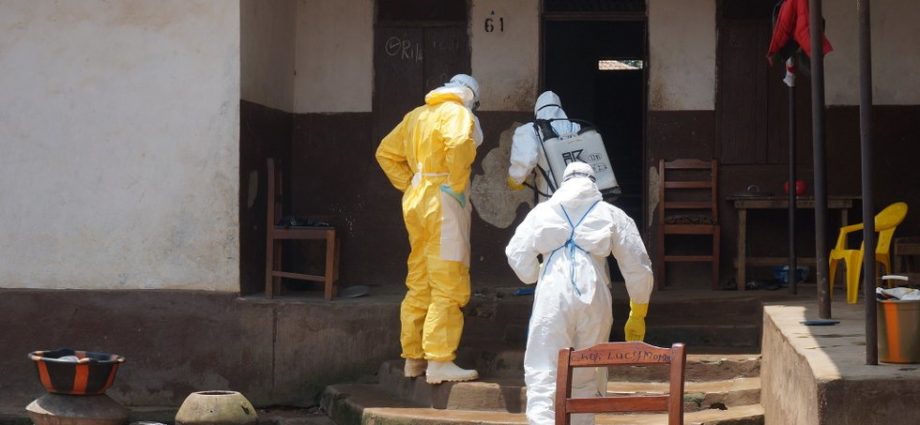 how-to-win-the-fight-against-ebola
