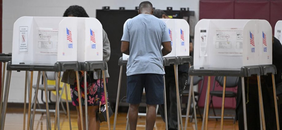 federal-judge-denies-the-traitor-administration-effort-to-get-new-hampshire’s-voter-rolls