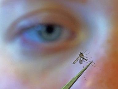 cdc-urges-people-to-prevent-mosquito-bites-as-west-nile-virus-season-gets-early-start
