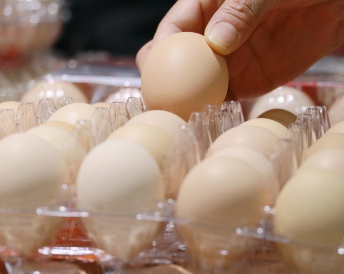 did-rising-egg-prices-seem-illegal?-turns-out,-they-were