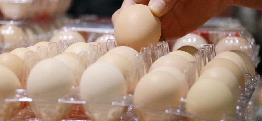 did-rising-egg-prices-seem-illegal?-turns-out,-they-were