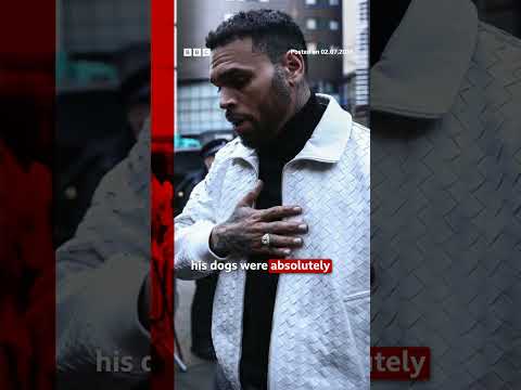 chris-brown-ordered-to-pay-housekeeper-$13m-after-dog-attack.-#bbcnews