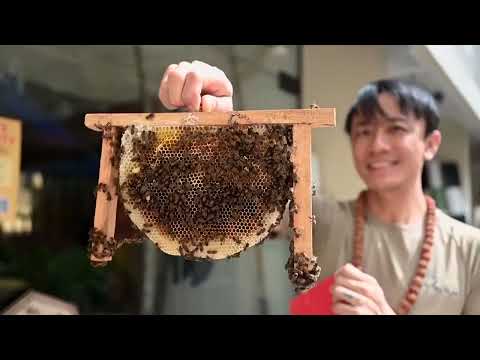 singapore’s-bee-rescuer-gives-unwanted-hives-a-second-chance