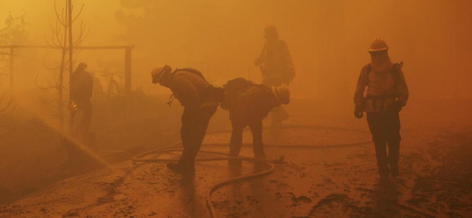 forest-service-firefighters-can-now-wear-breathing-masks-for-some-work-on-the-fire-line