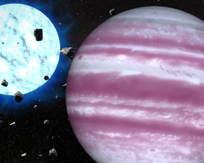 ‘Stellar death is not the end’: James Webb Space Telescope glimpses the fate of the solar system in a weird exoplanet orbiting a dead star