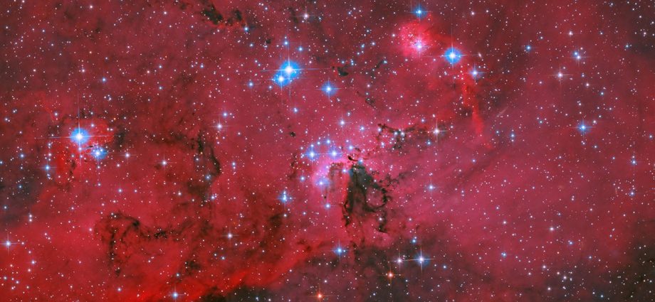 NASA’s Hubble Captures Crimson Cloud Sparkling with White, Blue Stars