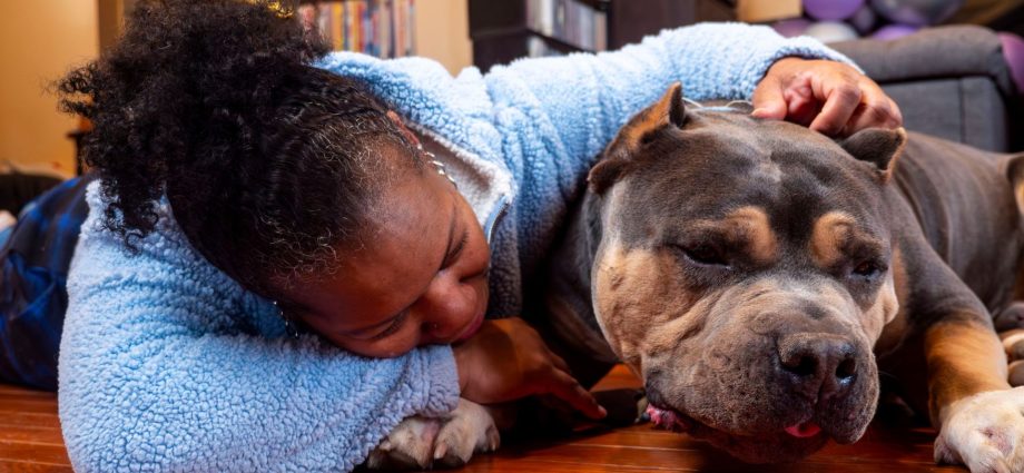 more-pets-go-missing-on-july-4-than-any-other-day.-ai-might-be-able-to-help