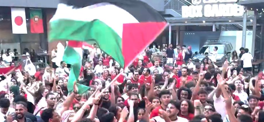 egypt-and-morocco-fans-celebrate-world-cup-wins-by-singing-for-palestine