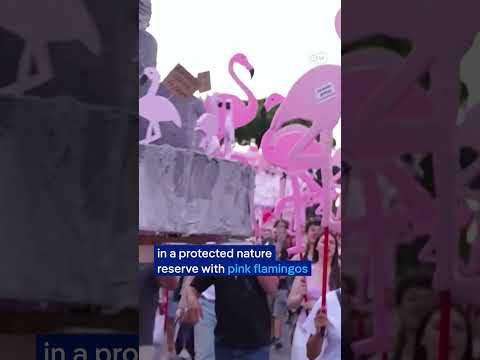 albanians-hold-mass-anti-government-protests-for-35th-straight-day-|-dw-news