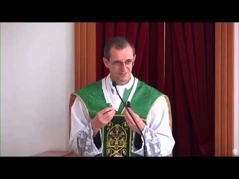 excommunicated-sect-says-future-pope-will-reunite-them