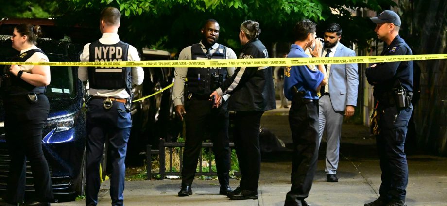 eight-people,-including-four-children,-shot-at-barbecue-in-coney-island