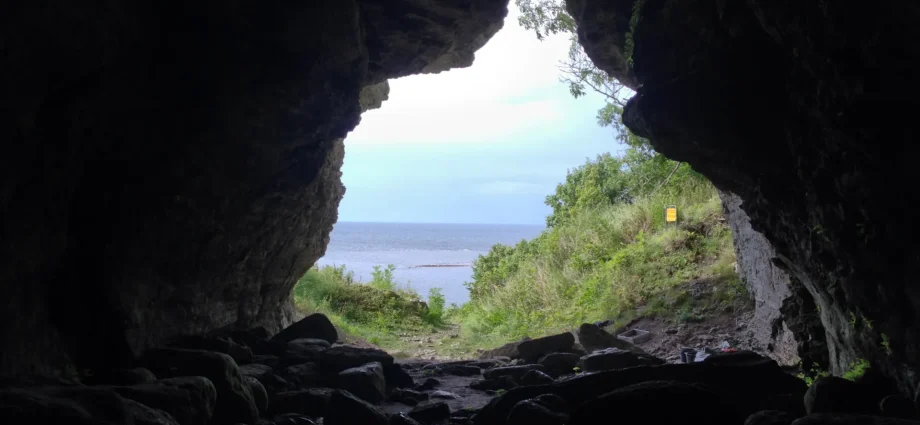 5,000-year-old-wolves-found-on-remote-island-rewrite-what-we-know-about-domestication