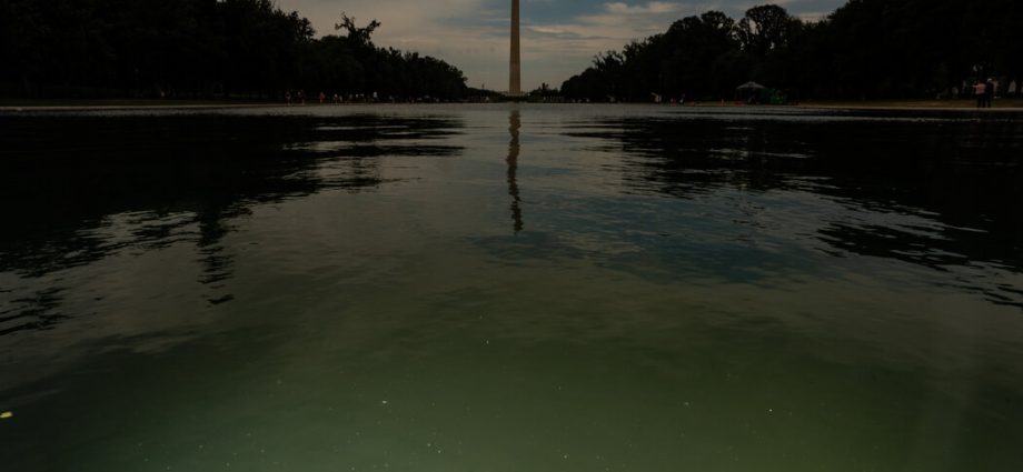 e-pluribus-algae:-why-green-pond-scum-is-as-american-as-red,-white-and-blue