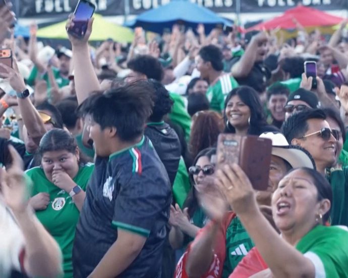 mexican-fans-proud-despite-world-cup-exit