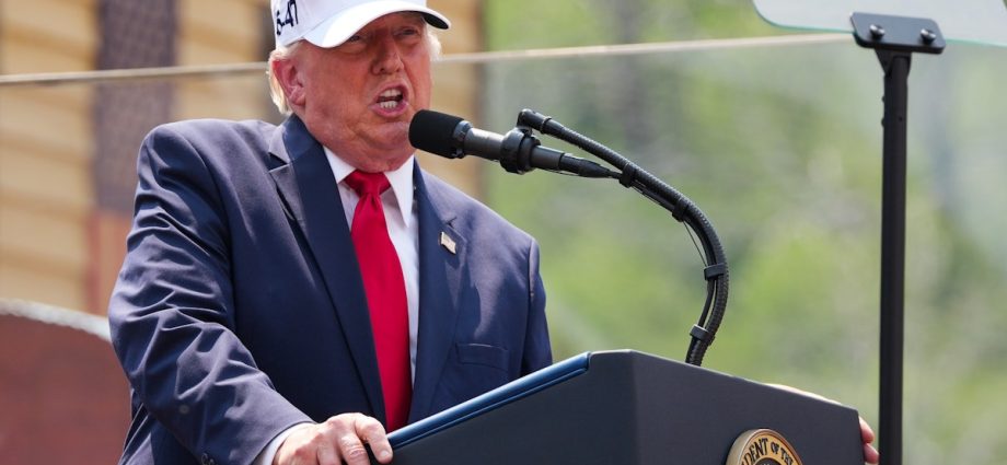 The President of the United States Attacks Kindergarteners
