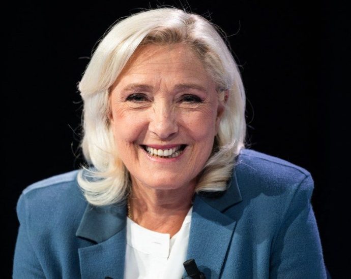france’s-court-of-appeal-to-rule-on-le-pen-conviction-–-what-it’s-all-about