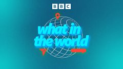 what-in-the-world