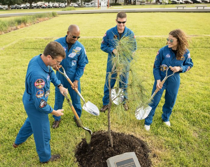 artemis-ii-crew-and-apollo-14-moon-tree