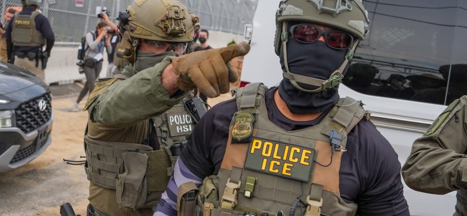 Afghan Who Helped U.S. Died in ICE Custody Due to Allergic Reaction
