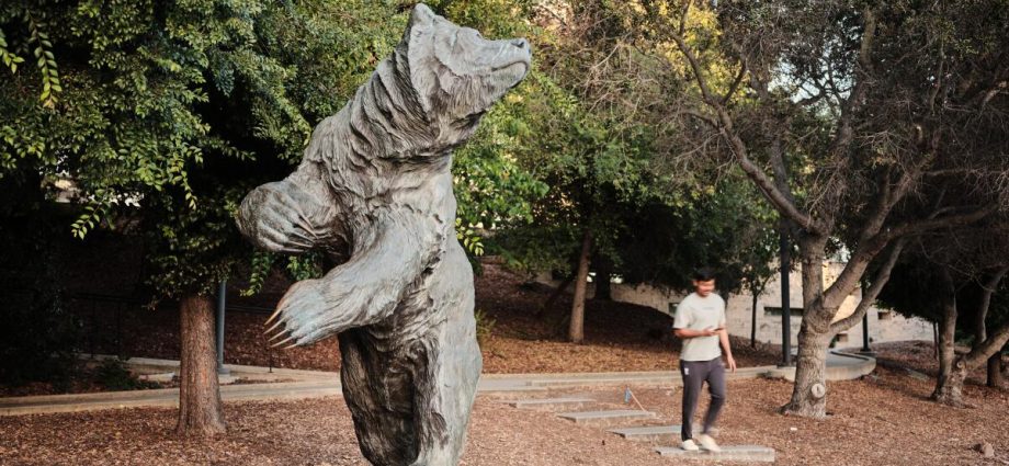 chabria:-uc-could-go-back-to-using-the-sat-and-act-for-admissions.-here’s-why-that-doesn’t-add-up