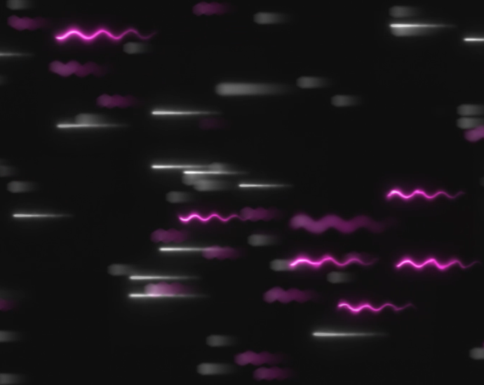 you’re-always-surrounded-by-neutrinos!