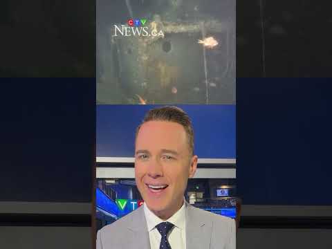 3-canadian-stories-you-need-to-know