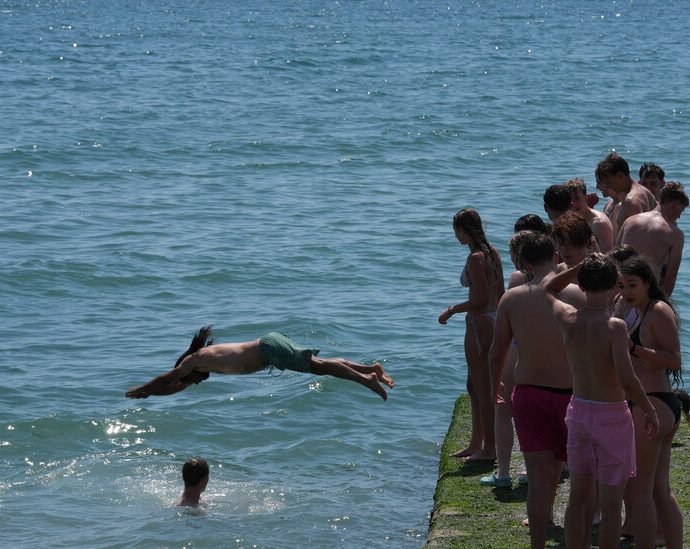 hotter-seas-in-britain-and-europe-threaten-marine-life