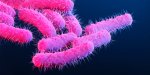 sexually-transmitted-diarrhoea-spreading-rapidly-among-gay-men-in-uk