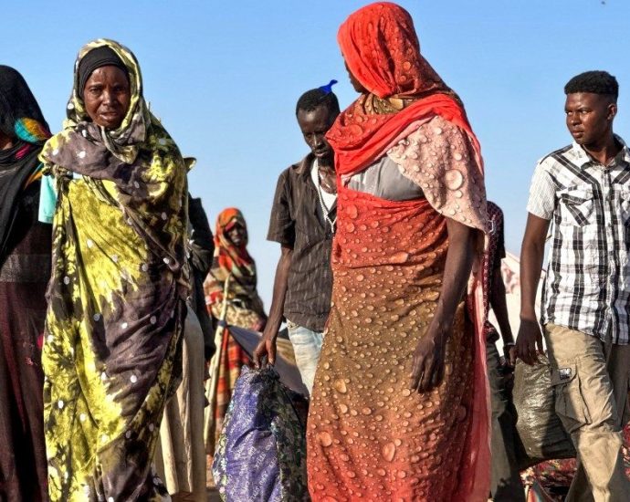 un-probe-finds-mass-killings,-gang-rapes-by-sudan’s-rsf-amount-to-genocide