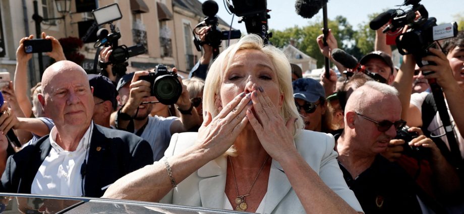 ‘she-doesn’t-give-up-that-easily’:-france’s-le-pen-eyes-the-elysee