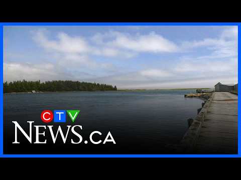 proposed-ns.-whale-sanctuary-gets-support