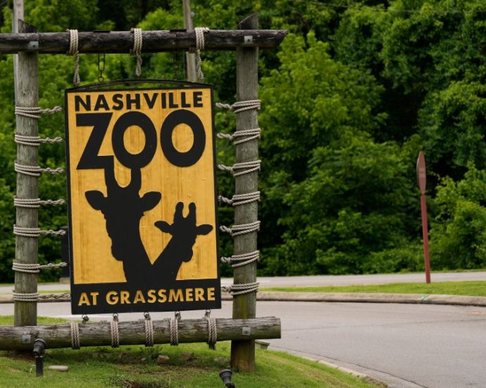 proposed-data-center-near-nashville-zoo-faces-pushback